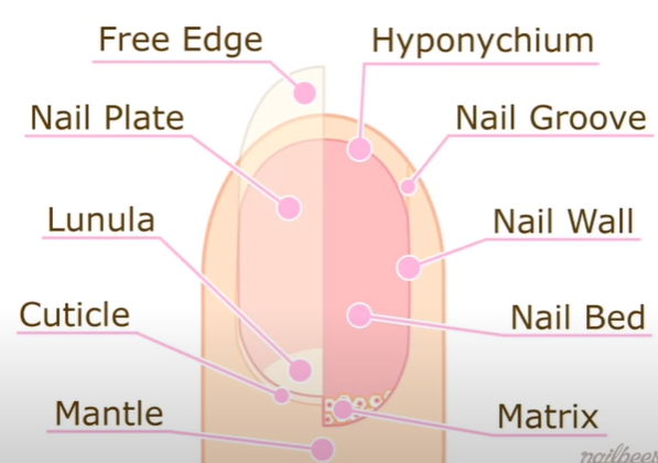 Nails